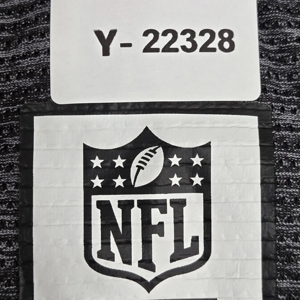 Las Vegas Raiders Men Shirt‎ M Gray NFL Team Apparel Striped Logo